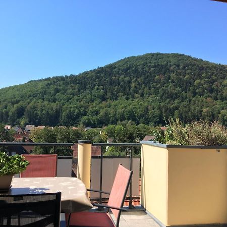 Le Panorama Leilighet Kaysersberg-Vignoble Eksteriør bilde