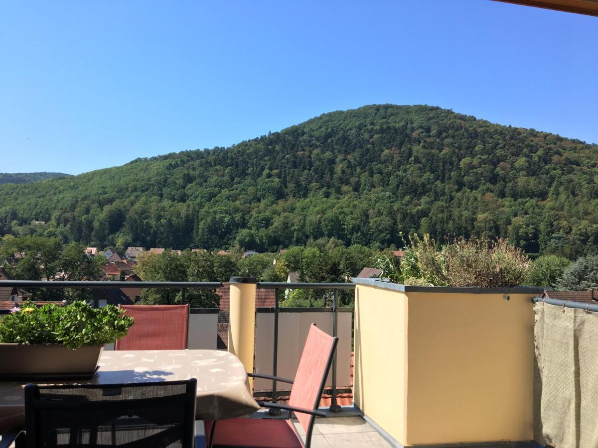 Le Panorama Leilighet Kaysersberg-Vignoble Eksteriør bilde