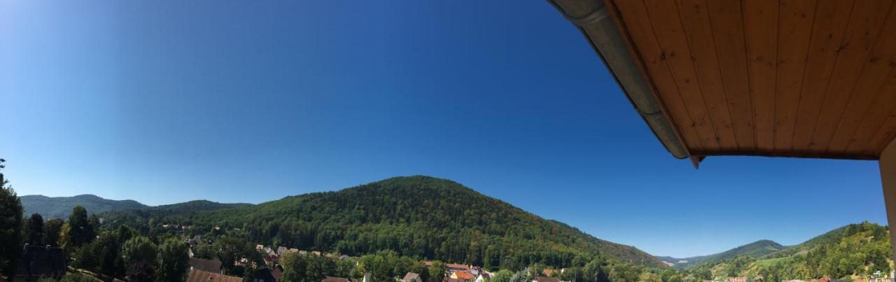 Le Panorama Leilighet Kaysersberg-Vignoble Eksteriør bilde